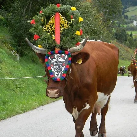 Griesbauer Familie Gehwolf