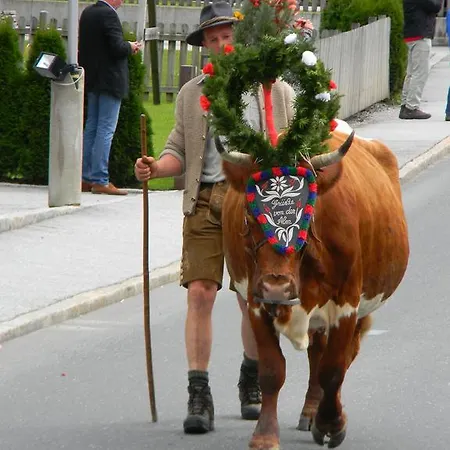 Apartamento Griesbauer Familie Gehwolf Wagrain