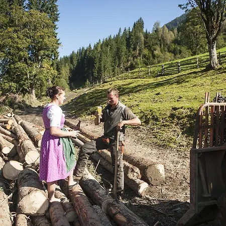 Appartement Griesbauer Familie Gehwolf Wagrain