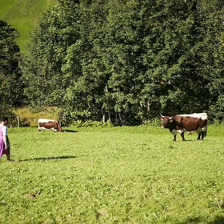 Griesbauer Familie Gehwolf Appartement Wagrain