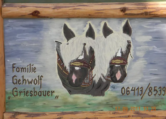 Griesbauer Familie Gehwolf Appartamento *