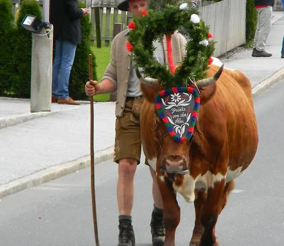 Appartamento Griesbauer Familie Gehwolf Wagrain