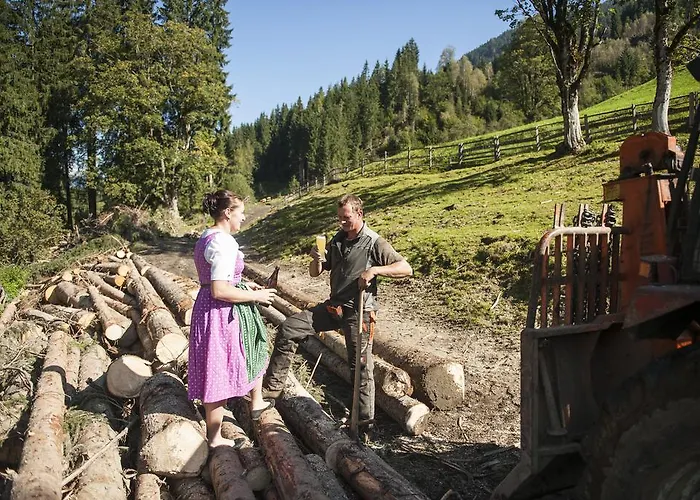 Appartamento Griesbauer Familie Gehwolf Wagrain