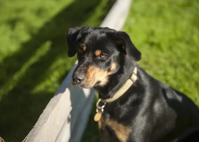 Griesbauer Familie Gehwolf * Wagrain